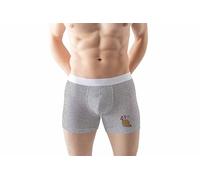 Green Fish Men's FDMBXI-100240 Boxer Briefs, Grey, L