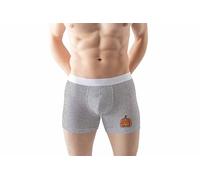 Green Fish Men's FDMBXI-100762 Boxer Briefs, Grey,
