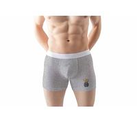 Green Fish Men's FDMBXI-100810 Boxer Briefs, Grey,