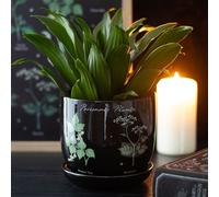 Something Different Wholesale Poisonous Plants Ceramic Plant Pot - Gothic Botanical Design - Unique Indoor Planter - Decorative Home Décor for Greenery - Gift for Nature & Gothic Enthusiasts