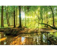 Green forest scenery decor Wallpaper bedroom Wall Mural FREE Adhesive photomural