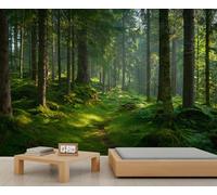 Green Forest Wall Mural Sunny Forest Trail Mural Mossy Trees Nature Landscape Wallpaper for Bedroom Living Room Natural Wood Wall Art 500 x 317 cm