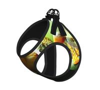 Green Frog Compact Pet Suspender Vest-The Perfect Small Pet For A Comfortable Walk