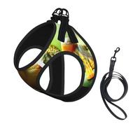 Green Frog print Dog Harness, 2X Buckle,Dog Vest,No Pulling Front Leash Clip,for Small Medium Dogs