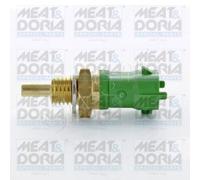Fuel temperature sensor High-pressure Pump (low-pressure side) oval 82419