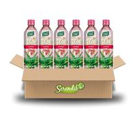 Green Globe Aloe Vera Juice Drink 500 ml | Original Aloe Vera Juice for Hair and Skin | Bundle Pack | Pack of 6 (Lychee Aloe Vera Drink)