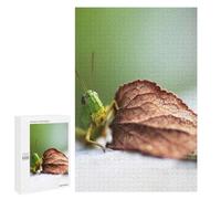 Green Grasshopper on Leaf Jigsaw Puzzle, 1000 PCS, Relaxing Activity for Adults, Versatile Leisure for Adults Who Enjoy Jigsaws, at Home