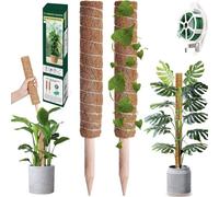 Green Haven Plant Support 16" 2 Pack Moss Poles For Monstera Extendable Coco Coir Climbing Plant Support 20M Twist Reel Stick