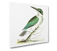 Green headed Kingfisher Bird by George Shaw Canvas Print | Gallery Wrapped 30mm Frame Wall Art | 14x14 inches | Ready to Hang | Retro Animals Picture | Living Room Bedroom Lounge Office