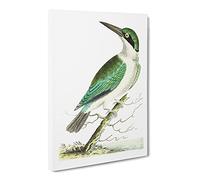Green Headed Kingfisher By George Shaw Vintage Canvas Wall Art Print Ready to Hang, Framed Picture for Living Room Bedroom Home Office Décor, 24x16 Inch (60x40 cm)
