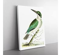 Green Headed Kingfisher By George Shaw Vintage Canvas Wall Art Print Ready to Hang, Framed Picture for Living Room Bedroom Home Office Décor, 60x40 cm (24x16 Inch)