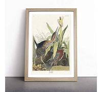Green Heron by John James Audubon Framed Wall Art Picture Print - Canvas Painting - Modern Home Décor Poster - Ready to Hang for Living Room Bedroom Kitchen - Oak A3 (36 x 48 cm)