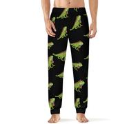 Green Iguana Lizard Men's Pajama Pants Lightweight Pjs Bottoms Lounge Pants Sleepwear Soft