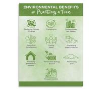 Green Infrastructure Guide Poster City Planning Classroom Decor