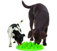 Green Interactive Dog Feeder - Standard - 40 x 29 x 9.5cm