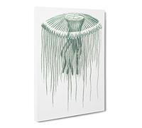 Green Jellyfish By George Shaw Canvas Print | Gallery Wrapped 30mm Frame Wall Art | 20x14 inches | Ready to Hang | Retro Picture | Living Room Bedroom Lounge Office