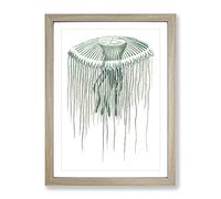 Green Jellyfish By George Shaw Vintage Framed Print | A2 Oak Framed Wall Art | Ready to Hang | Classic Nature Picture | Living Room Bedroom Lounge Office
