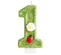 Green Ladybug Number 1 Birthday Candles, White Daisy Flower 1st Birthday Number Candles for Cake Topper Decorations, Birthday Party Wedding Anniversary Celebration Supplies