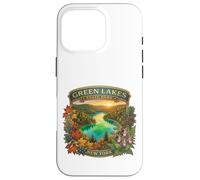 Green Lakes State Park Syracuse New York Novelty Souvenir Case for iPhone 16 Pro