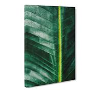 Green Leaf Line Canvas Print | Gallery Wrapped 30mm Frame Wall Art | 30x20 inches | Ready to Hang | Modern Floral Picture | Living Room Bedroom Lounge Office
