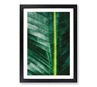 Green Leaf Line Painting Framed Print | A2 Black Framed Wall Art | Ready to Hang | Modern Floral Picture | Living Room Bedroom Lounge Office