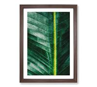 Green Leaf Line Painting Framed Print | A2 Walnut Framed Wall Art | Ready to Hang | Modern Floral Picture | Living Room Bedroom Lounge Office