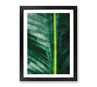 Green Leaf Line Painting Modern Framed Print | A3 Black Framed Wall Art | Ready to Hang | Modern Floral Picture | Living Room Bedroom Lounge Office