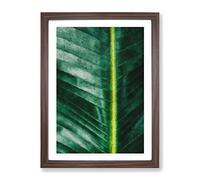 Green Leaf Line Painting Modern Framed Print | A4 Walnut Framed Wall Art | Ready to Hang | Modern Floral Picture | Living Room Bedroom Lounge Office