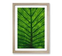 Green Leaf Lines Painting Framed Print | A2 Oak Framed Wall Art | Ready to Hang | Modern Floral Picture | Living Room Bedroom Lounge Office