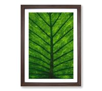 Green Leaf Lines Painting Framed Print | A2 Walnut Framed Wall Art | Ready to Hang | Modern Floral Picture | Living Room Bedroom Lounge Office