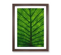 Green Leaf Lines Painting Modern Framed Print | A4 Walnut Framed Wall Art | Ready to Hang | Modern Floral Picture | Living Room Bedroom Lounge Office