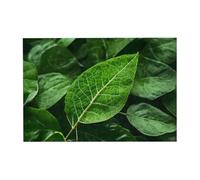 Green Leaf Nature Pattern Wooden Jigsaw Puzzle Horizontal 300 Pieces for Family Leisure and Creativity Enhancement