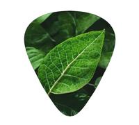 Green Leaf Nature Printed guitar picks, 12 pieces in 3 different thicknesses, suitable for acoustic guitar, electric guitar and band players