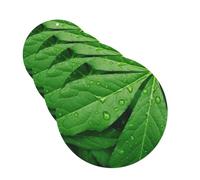 Green Leaves Car Air Freshener Cards for Women Men 4 Pack Cute Car Accessories Long Lasting Scent Car Diffuser Hanging Auto Aromatherapy Tablets Car Fresheners Gifts