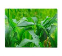 Green Leaves corn fields as background Designer Glass Chopping Board Benjamin Tate Design Natural One Size