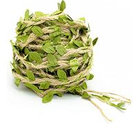 Green Leaves Jute, Leaf Ribbon, Natural Jute Twine String 32 Feet10m Wedding Party Favor Home Garden Decoration Jute Twine Leaf Rope