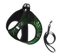 Green Leaves of Palm Tree Tropical Plants Print Soft Mesh Dog Harness and Leash Set Pet Puppy Cat Comfort Padded Vest No Pull Harnesses