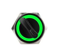 Green LED Momentary Reset 19mm DPDT Switch 2/3 Position 1Pcs(3 POSITION_220V)