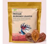 Green Life Org Premium Indian Almond Leave. 50 Leaves 10-12 inchs. Catappa Leaves Rich in Tannin. Awsome Aquarium Decorations (Large).
