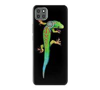 Green Madagascan Gecko Case Cover For Motorola Moto G9 Power