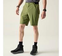 Green male 36 Dare 2b Men's Torrek Lite Shorts Green, Size: 36