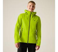 Green male L Dare 2b Men's Waterproof Apex 3 Layer Jacket Green, Size: L