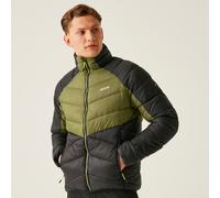 Green male L Regatta Men's Dalent Padded Jacket Green, Size: L