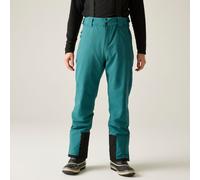 Green male S Dare 2b Men's Achieve III Ski Pants Green, Size: S