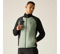 Green male S Regatta Men's Clumber Hybrid Jacket Green, Size: S