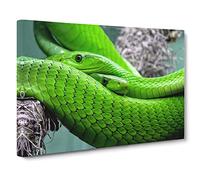 Green Mamba Snakes Canvas Print | Gallery Wrapped 30mm Frame Wall Art | 24x16 inches | Ready to Hang | Modern Animal Picture | Living Room Bedroom Lounge Office