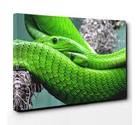Green Mamba Snakes Canvas Print | Gallery Wrapped 30mm Frame Wall Art | 30x20 inches | Ready to Hang | Modern Animal Picture | Living Room Bedroom Lounge Office