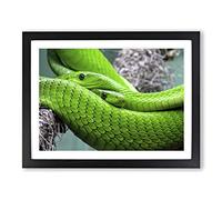 Green Mamba Snakes Modern Framed Print | A2 Black Framed Wall Art | Ready to Hang | Modern Nature Picture | Living Room Bedroom Lounge Office