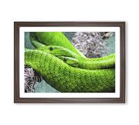 Green Mamba Snakes Painting Framed Print | A2 Walnut Framed Wall Art | Ready to Hang | Modern Historical Picture | Living Room Bedroom Lounge Office