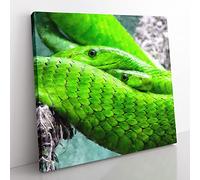 Green Mamba Snakes Painting Modern Canvas Wall Art Print Ready to Hang, Framed Picture for Living Room Bedroom Home Office Décor, 50x50 cm (20x20 Inch)